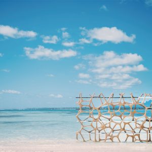 AQUA SHELF – Silver